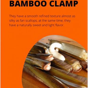 Bamboo Clam (1kg)